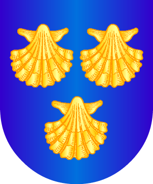 ESCUDO ALEATORIO