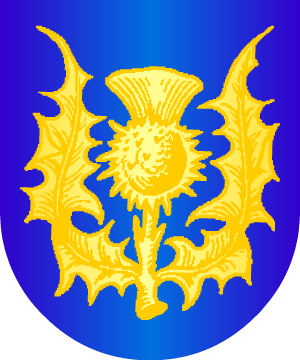ESCUDO ALEATORIO