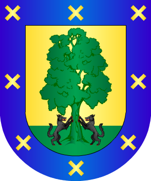 ESCUDO SIGUIENTE