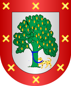 ESCUDO ALEATORIO