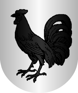 ESCUDO ALEATORIO