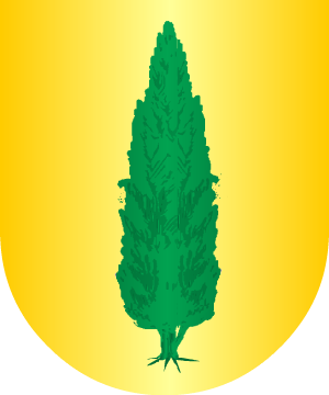 ESCUDO SIGUIENTE