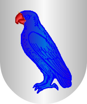 ESCUDO ALEATORIO