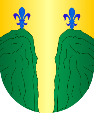 ESCUDO SIGUIENTE