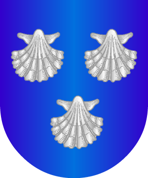 ESCUDO SIGUIENTE