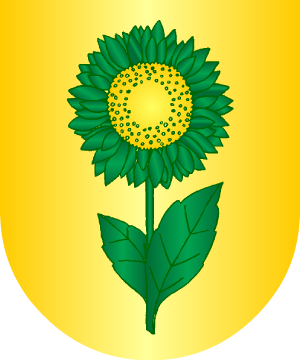 ESCUDO ALEATORIO