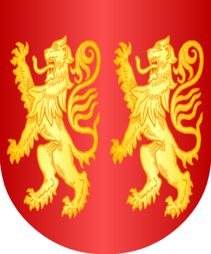 ESCUDO ALEATORIO