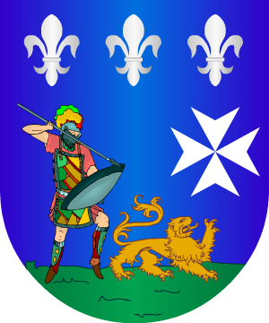 ESCUDO SIGUIENTE
