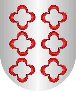 ESCUDO SIGUIENTE
