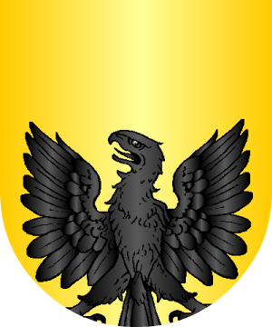 ESCUDO ALEATORIO