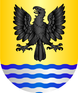 ESCUDO ALEATORIO
