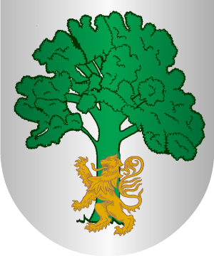 ESCUDO SIGUIENTE