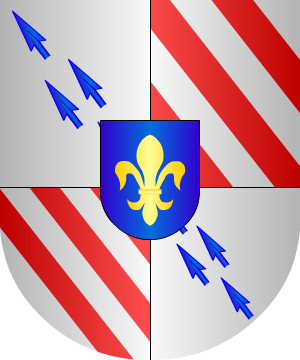 ESCUDO SIGUIENTE