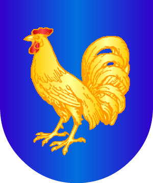 ESCUDO ALEATORIO