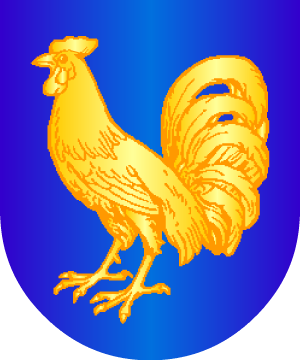 ESCUDO ALEATORIO