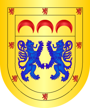ESCUDO SIGUIENTE