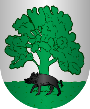 ESCUDO SIGUIENTE