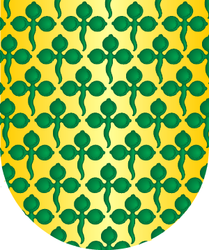 ESCUDO ALEATORIO