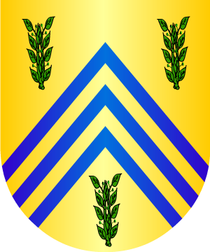 ESCUDO ALEATORIO