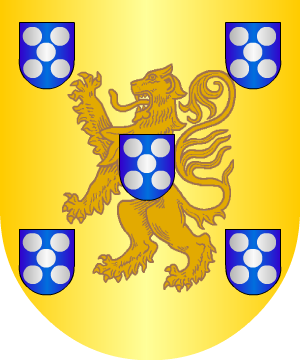 ESCUDO SIGUIENTE