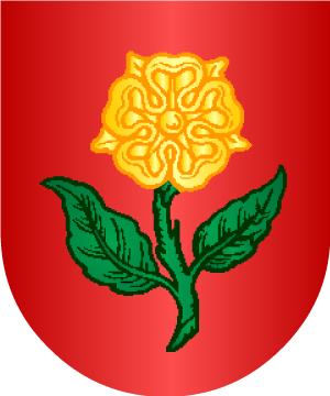 ESCUDO ALEATORIO
