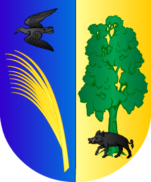 ESCUDO SIGUIENTE