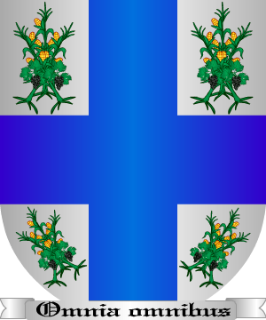 ESCUDO ALEATORIO