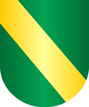 ESCUDO SIGUIENTE