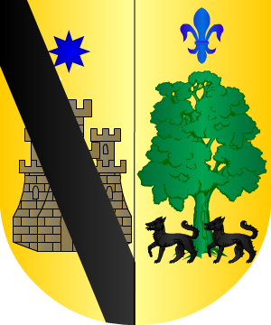 ESCUDO SIGUIENTE