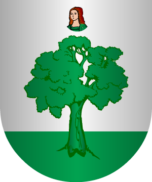 ESCUDO SIGUIENTE
