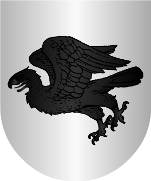 ESCUDO SIGUIENTE