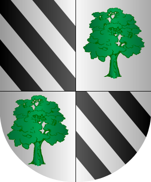 ESCUDO SIGUIENTE