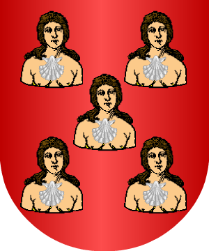 ESCUDO ALEATORIO
