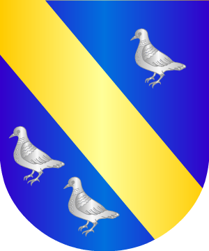 ESCUDO SIGUIENTE