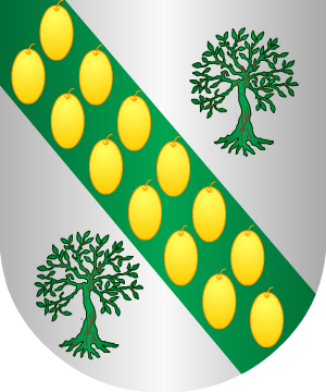 ESCUDO SIGUIENTE