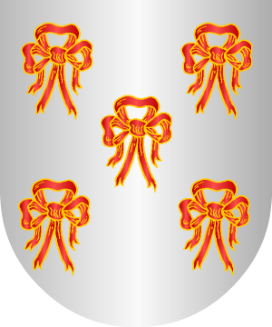ESCUDO ALEATORIO