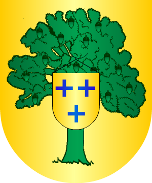 ESCUDO SIGUIENTE