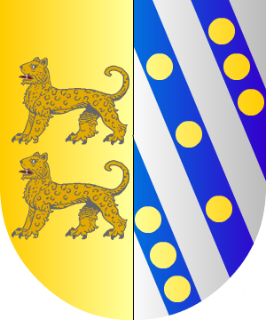 ESCUDO SIGUIENTE