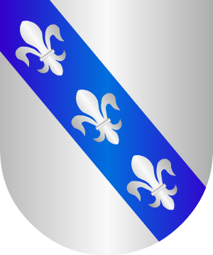 ESCUDO SIGUIENTE