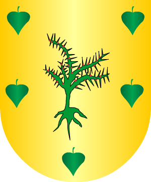 ESCUDO SIGUIENTE