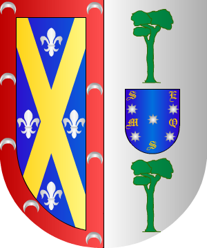 ESCUDO ALEATORIO