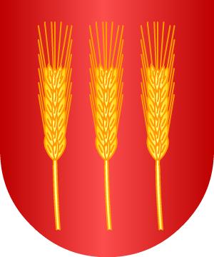ESCUDO SIGUIENTE