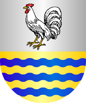 ESCUDO ALEATORIO