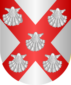 ESCUDO SIGUIENTE