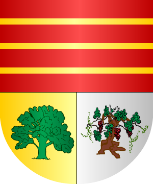 ESCUDO SIGUIENTE