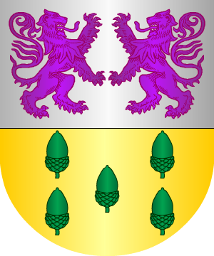 ESCUDO SIGUIENTE