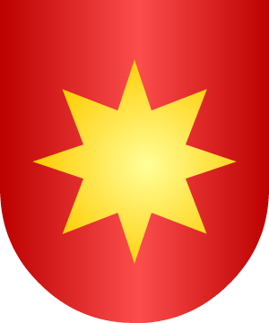 ESCUDO SIGUIENTE