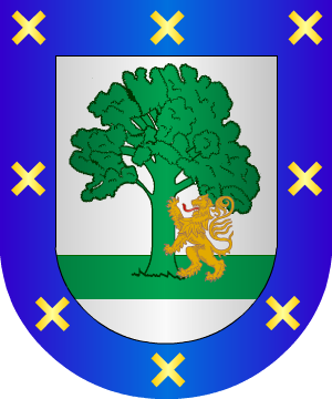 ESCUDO SIGUIENTE