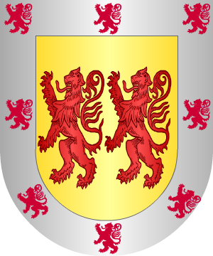 ESCUDO SIGUIENTE
