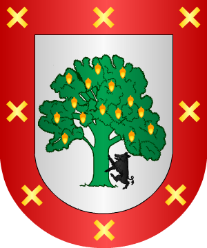 ESCUDO SIGUIENTE